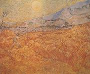Vincent Van Gogh Wheat Field behind Saint-Paul Hospital with a Reaper (nn04) oil painting reproduction